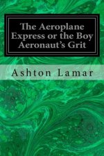 The Aeroplane Express or the Boy Aeronaut's Grit