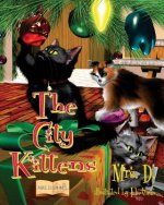 City Kittens