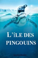 L'île des pingouins