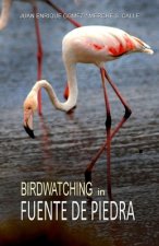 Birdwatching in Fuente de Piedra
