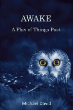 Awake: A Play