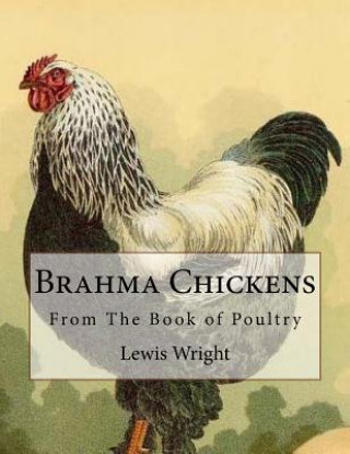 Brahma Chickens: From The Book of Poultry