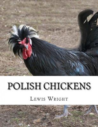 Polish Chickens: From The Book of Poultry