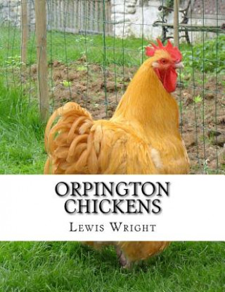 Orpington Chickens: From The Book of Poultry
