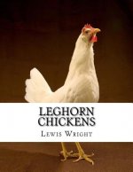 Leghorn Chickens: From The Book of Poultry