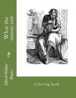 What the moon saw: Coloring book