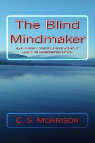 The Blind Mindmaker: Explaining Consciousness without Magic or Misrepresentation