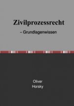 Zivilprozessrecht - Grundlagenwissen