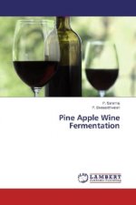 Pine Apple Wine Fermentation
