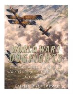 World War I Dogfights: The History and Legacy of Aerial Combat during the Great War