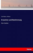 Erwachen und Bestimmung