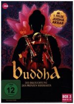 Buddha - Die Erleuchtung des Prinzen Siddharta. Box.3, 3 DVD