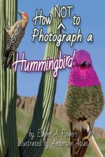 How NOT to Photograph a Hummingbird