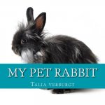 My pet rabbit