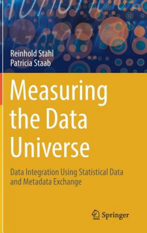 Measuring the Data Universe