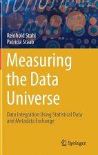 Measuring the Data Universe