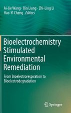 Bioelectrochemistry Stimulated Environmental Remediation