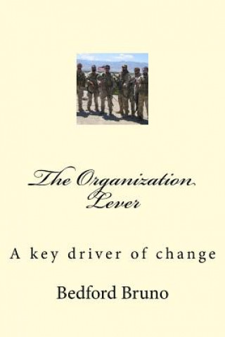The Organization Lever: A key driver of change