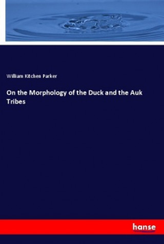 On the Morphology of the Duck and the Auk Tribes