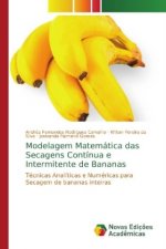 Modelagem Matematica das Secagens Continua e Intermitente de Bananas