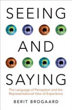 Seeing and Saying