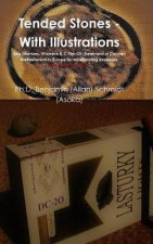 TENDED STONES - WITH ILLUSTRATIONS