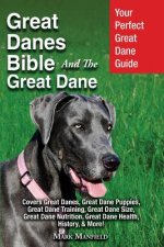 Great Danes Bible And The Great Dane