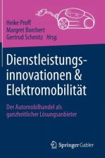 Dienstleistungsinnovationen und Elektromobilitat