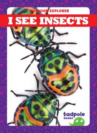 I See Insects