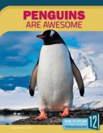 Penguins Are Awesome