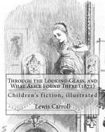 Through the Looking-Glass, and What Alice Found There (1871). by: Lewis Carroll, Illustrated By: John Tenniel (1820-1914): (Children's Book ), Illustr