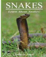 Snakes: Fun Facts & Amazing Pictures - Learn About Snakes