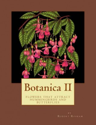 Botanica II: Flowers that attract Hummingbirds and Butterflies