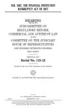 H.R. 1667: the Financial Institution Bankruptcy Act of 2017