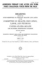 Addressing primary care access and workforce challenges: voices from the field
