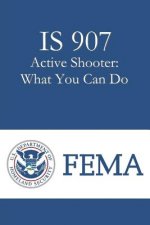 IS 907 Active Shooter: What You Can Do