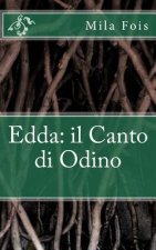 Edda: il Canto di Odino