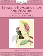 Bevalet's Hummingbirds and Flowers: A Vintage Grayscale Adult Coloring Book
