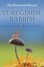 Yuregimde Rabbim