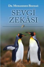 Sevgi Zekasi