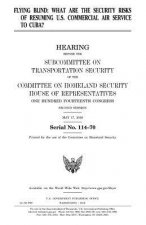 Flying blind: what are the security risks of resuming U.S. commercial air service to Cuba?: hearing before the Subcommittee on Trans