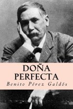 Do?a perfecta (Spanish Edition)