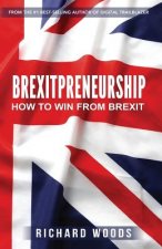 Brexitpreneurship: How to win from Brexit