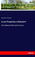 Is our Prosperity a Delusion?