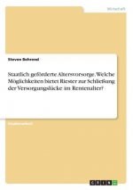 Staatlich geförderte Altersvorsorge. Welche Möglichkeiten bietet Riester zur Schließung der Versorgungslücke im Rentenalter?