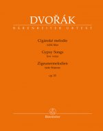 Cigánské melodie op. 55