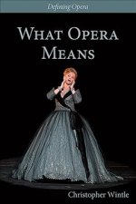 What Opera Means