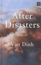 After Disasters