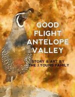 Good Flight Antelope Valley
