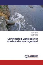 Constructed wetlands for wastewater management